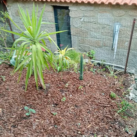 Casa Da Fraga Apartment Viana do Castelo Exterior photo
