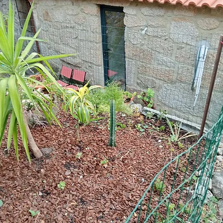 Casa Da Fraga Apartment Viana do Castelo Exterior photo
