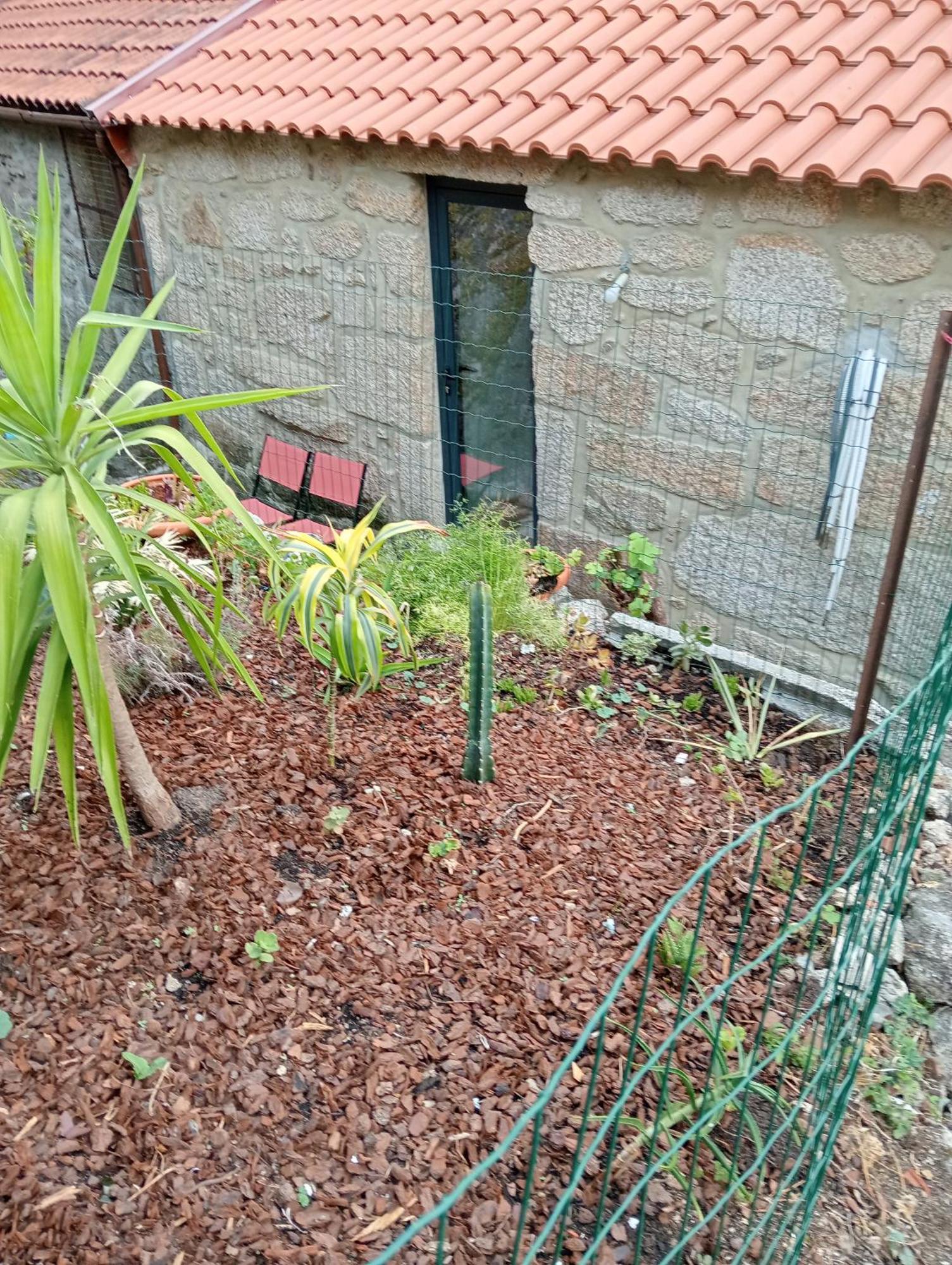 Casa Da Fraga Viana do Castelo