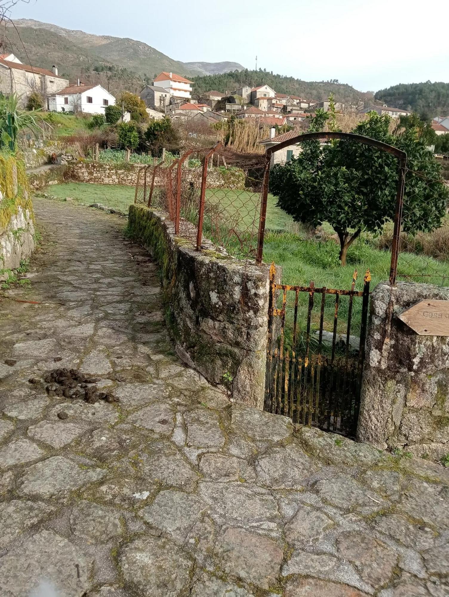 Casa Da Fraga Apartment *