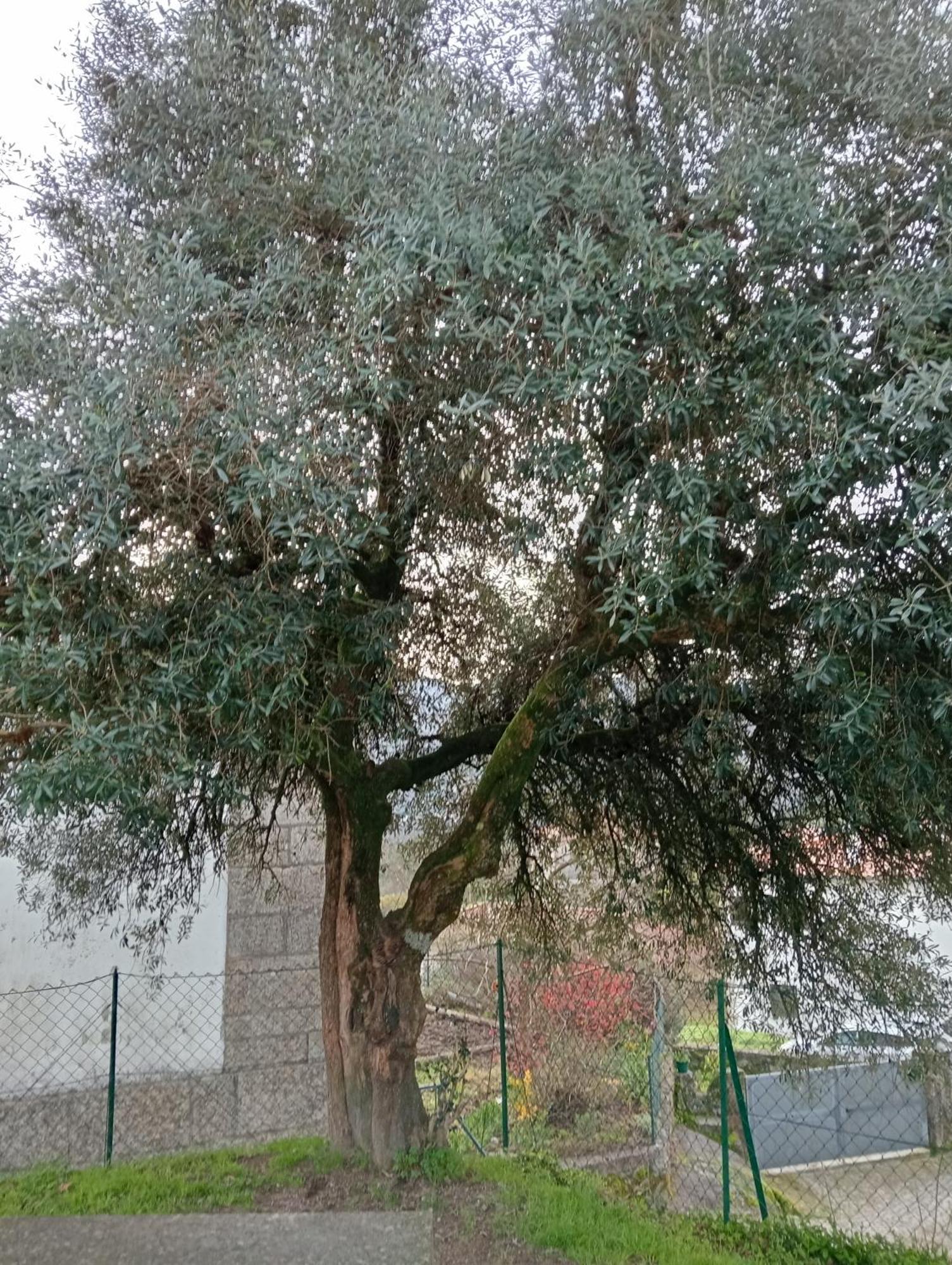 Casa Da Fraga Apartamento